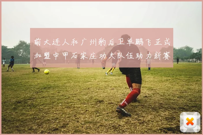 前大连人和广州豹后卫单鹏飞正式加盟中甲石家庄功夫队伍助力新赛季