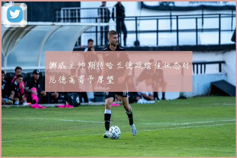 挪威主帅期待哈兰德延续佳状态对厄德高寄予厚望